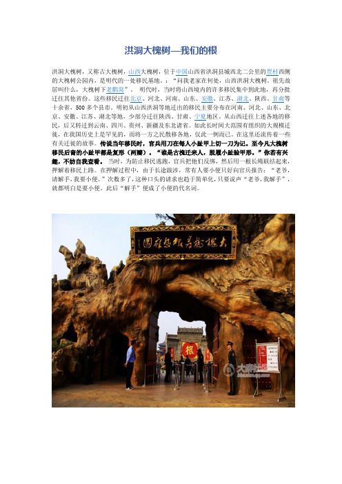 洪洞大槐树—我们的根