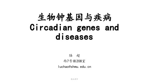 生物钟讲课(1)