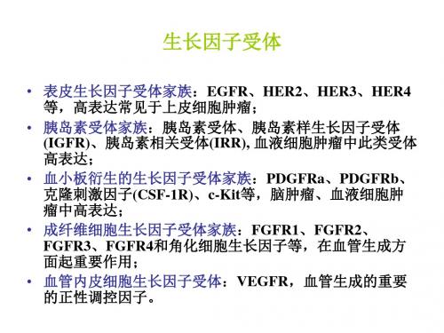 生长因子受体PPT课件
