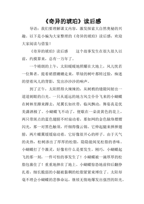 《奇异的琥珀》读后感