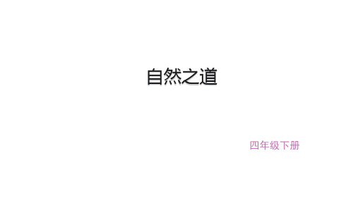 (赛课课件)四年级下册语文《自然之道》(共21张PPT)