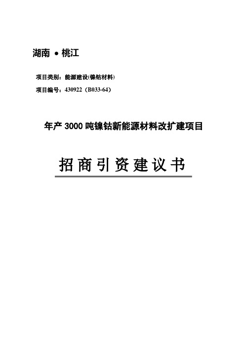 2019年产3000吨镍钴新能源材料改扩建项目建议.doc