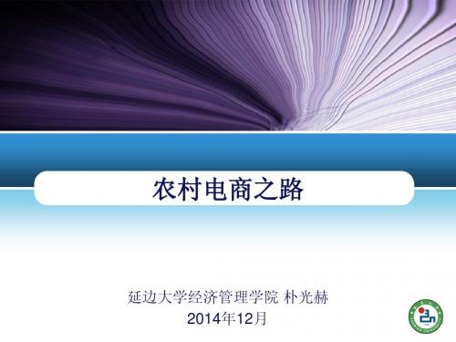 潍坊职业学院农村电商发展之路-01