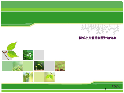 降低小儿静脉留置针堵管率ppt课件