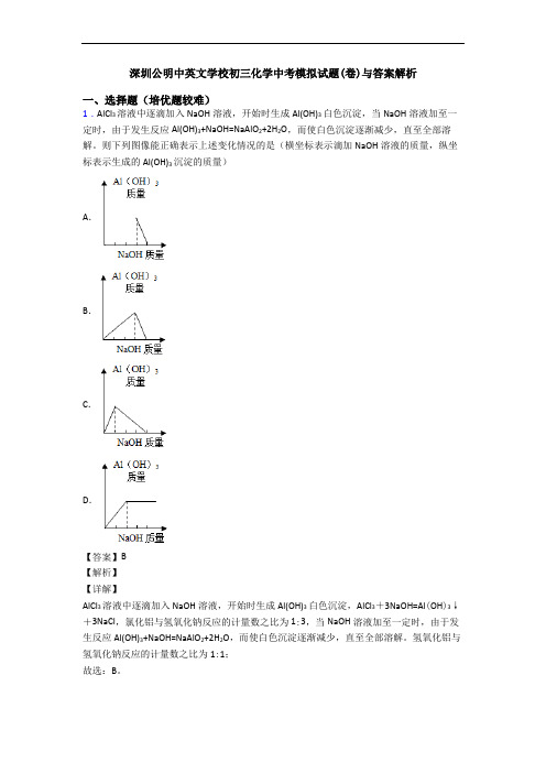 深圳公明中英文学校初三化学中考模拟试题(卷)与答案解析