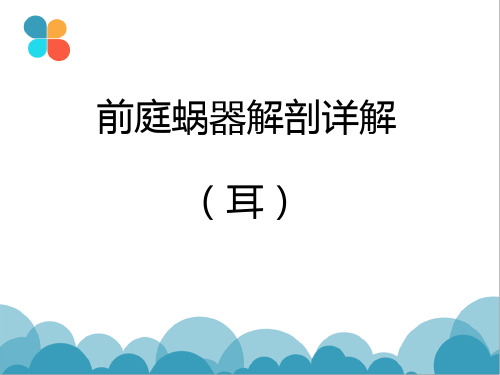 CT内耳面神经解剖