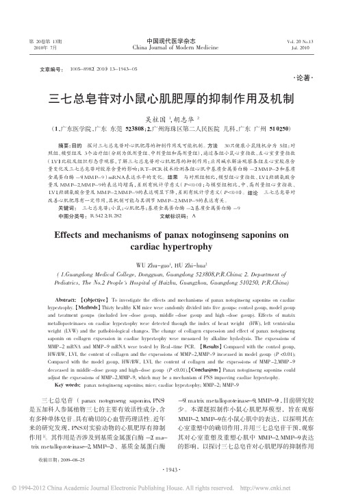 三七总皂苷对小鼠心肌肥厚的抑制作用及机制_吴柱国