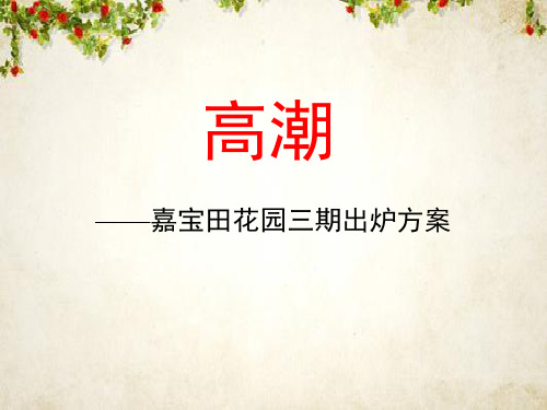 某项目传播策略与广告创意(ppt 59页)