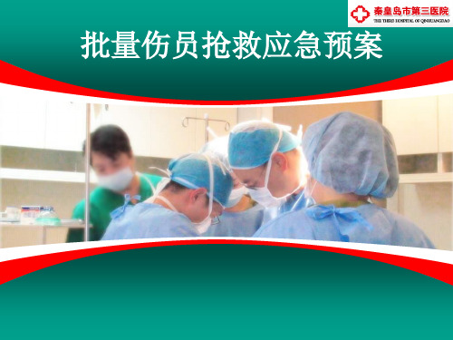 第二篇 批量伤员应急预案