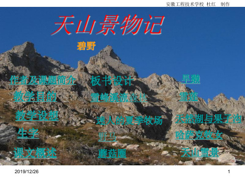 天山景物记杜红