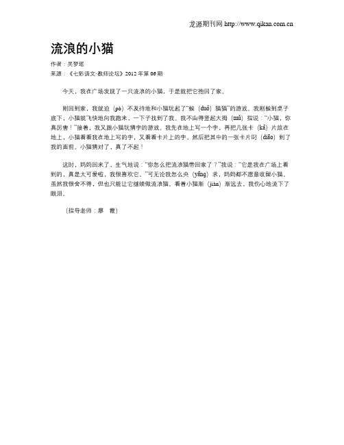 流浪的小猫