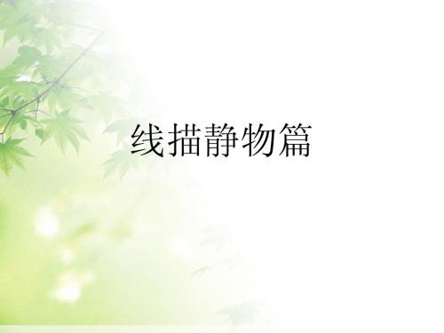 线描3