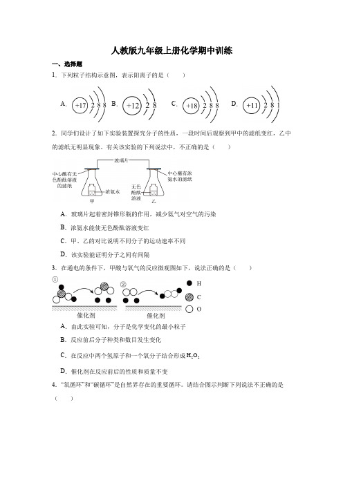 2024-2025学年九年级化学人教版2024上册期中训练(附答案)