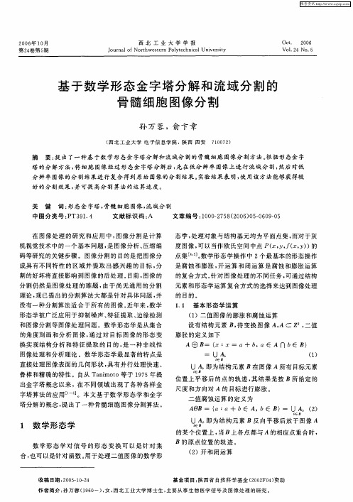 基于数学形态金字塔分解和流域分割的骨髓细胞图像分割