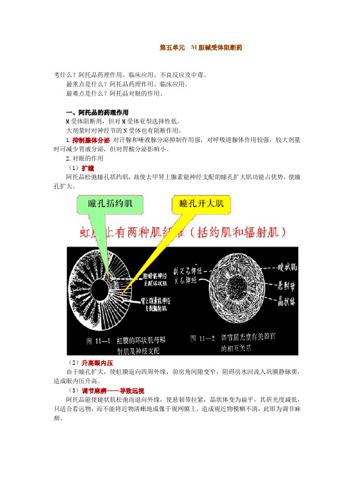 第五单元 M胆碱受体阻断药