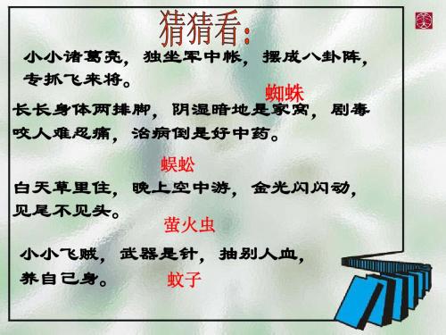 绿色蝈蝈完整版
