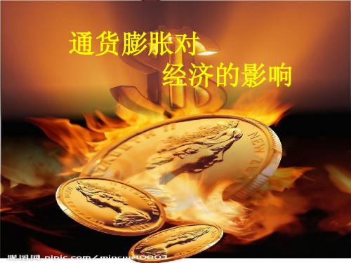 通货膨胀对经济的影响讲演ppt