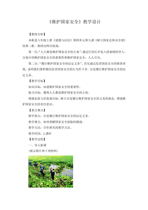 人教版八年级道德与法治上册《4单元 维护国家利益  第9课 树立总体国家安全观  维护国家安全》教案_14