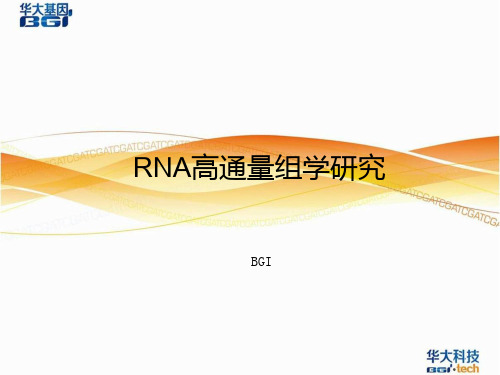 RNA高通量组学研究PPT课件