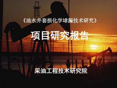 套损验收PPT幻灯片课件