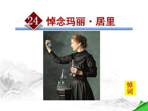 苏教版八年级语文下册第六单元24.悼念玛丽·居里PPT课件