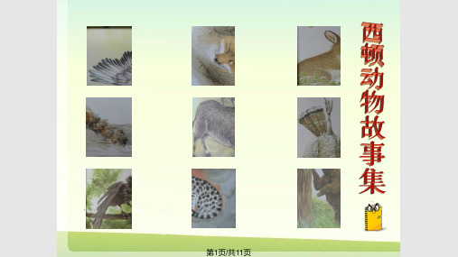 我推荐的一本好书——西顿动物故事集PPT课件