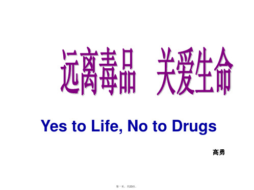 安全教育班会《远离毒品,珍爱生命》PPT课件