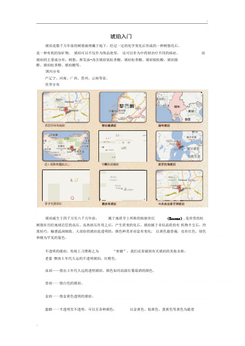 琥珀基础知识