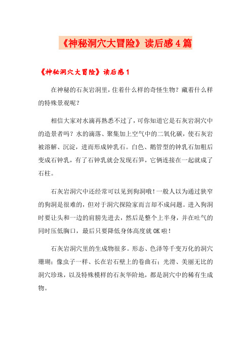 《神秘洞穴大冒险》读后感4篇