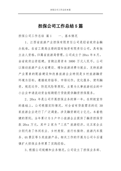 担保公司工作总结5篇
