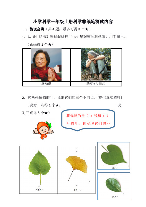 小学科学一年级上册科学非纸笔测试内容