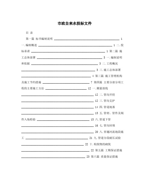 市政自来水投标文件