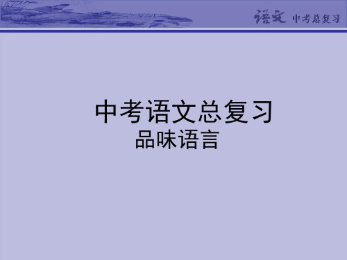 中考语文专题复习PPT课件16：品味词句,赏析语言