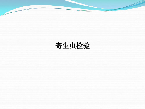 寄生虫检验