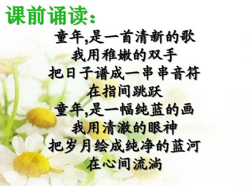 绿叶的梦 ppt