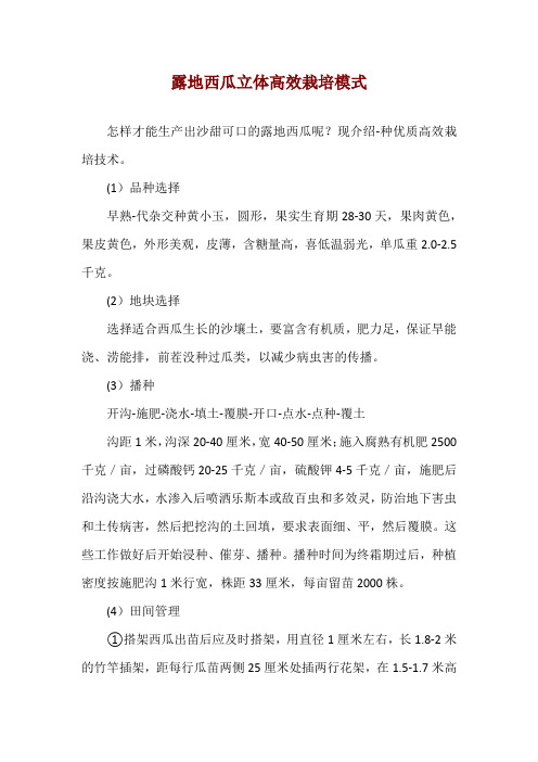 露地西瓜立体高效栽培模式