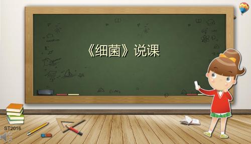 人教版八年级上册生物4.2细菌说课稿(共12张PPT)