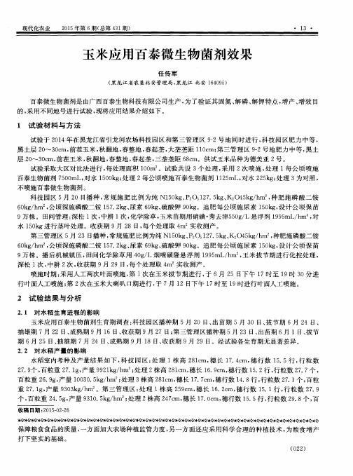 玉米应用百泰微生物菌剂效果