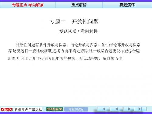 2014中考数学总复习专题2开放性问题