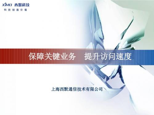 西默全部产品介绍201007