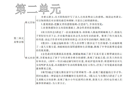 2019年秋人教版七年级语文上册课件：5  秋天的怀念 (共39张PPT)