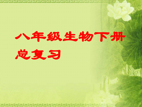 八年级生物下册总复习ppt1 人教版