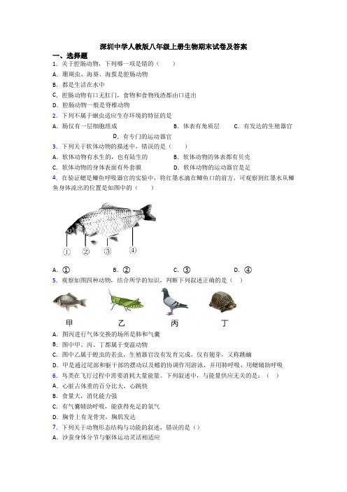 深圳中学人教版八年级上册生物期末试卷及答案