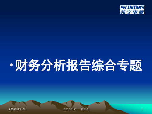 财务报表分析报告模板[1]