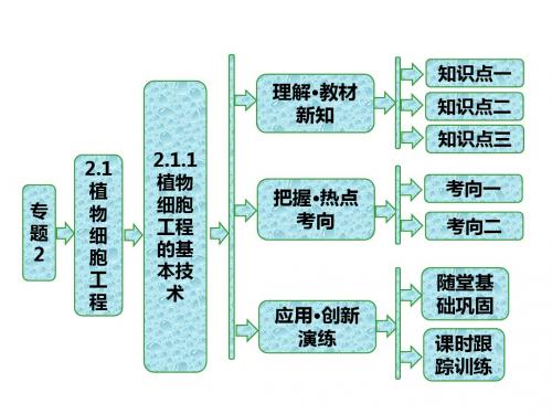人教版高二生物选修三同步课件专题2  2.1  2.1.1  植物细胞工程的基本技术 (共51张PPT)