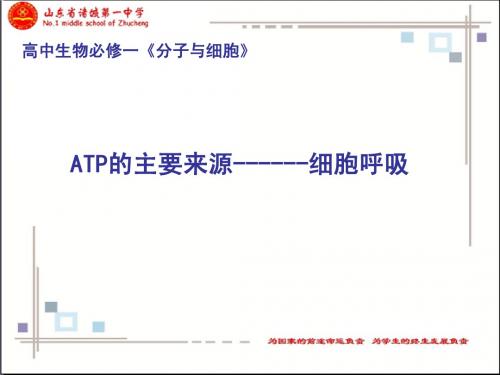 细胞呼吸第一课时-李长安