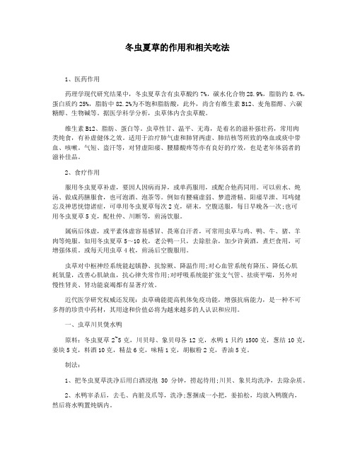 冬虫夏草的作用和相关吃法