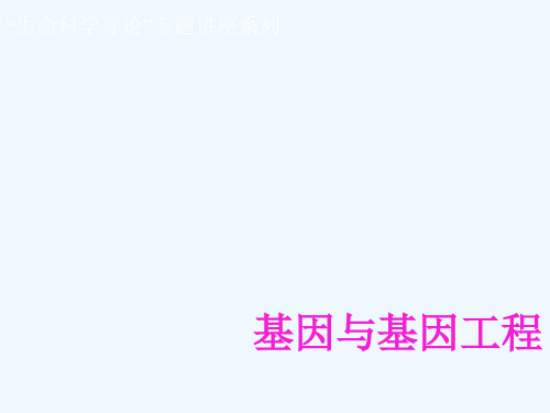 基因与基因工程李剑