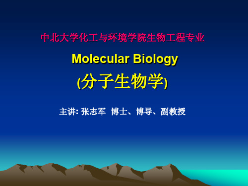 双语分子生物学ppt
