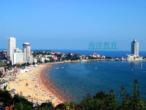 海鸥又飞回来了
